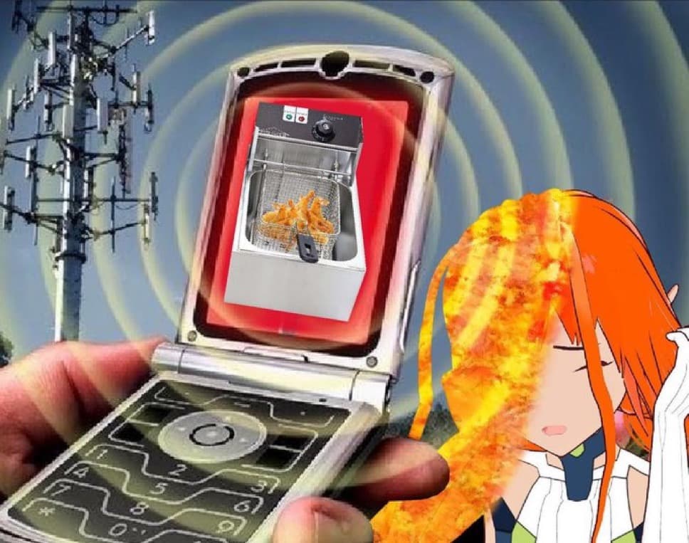 Shrimp Meme 11