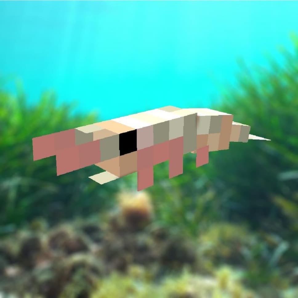 Shrimp Meme 12
