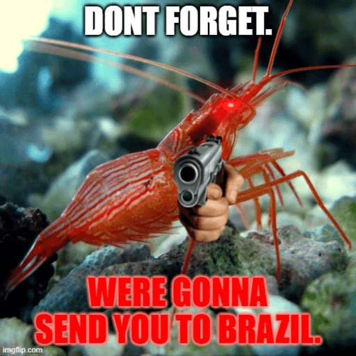 Shrimp Meme 5